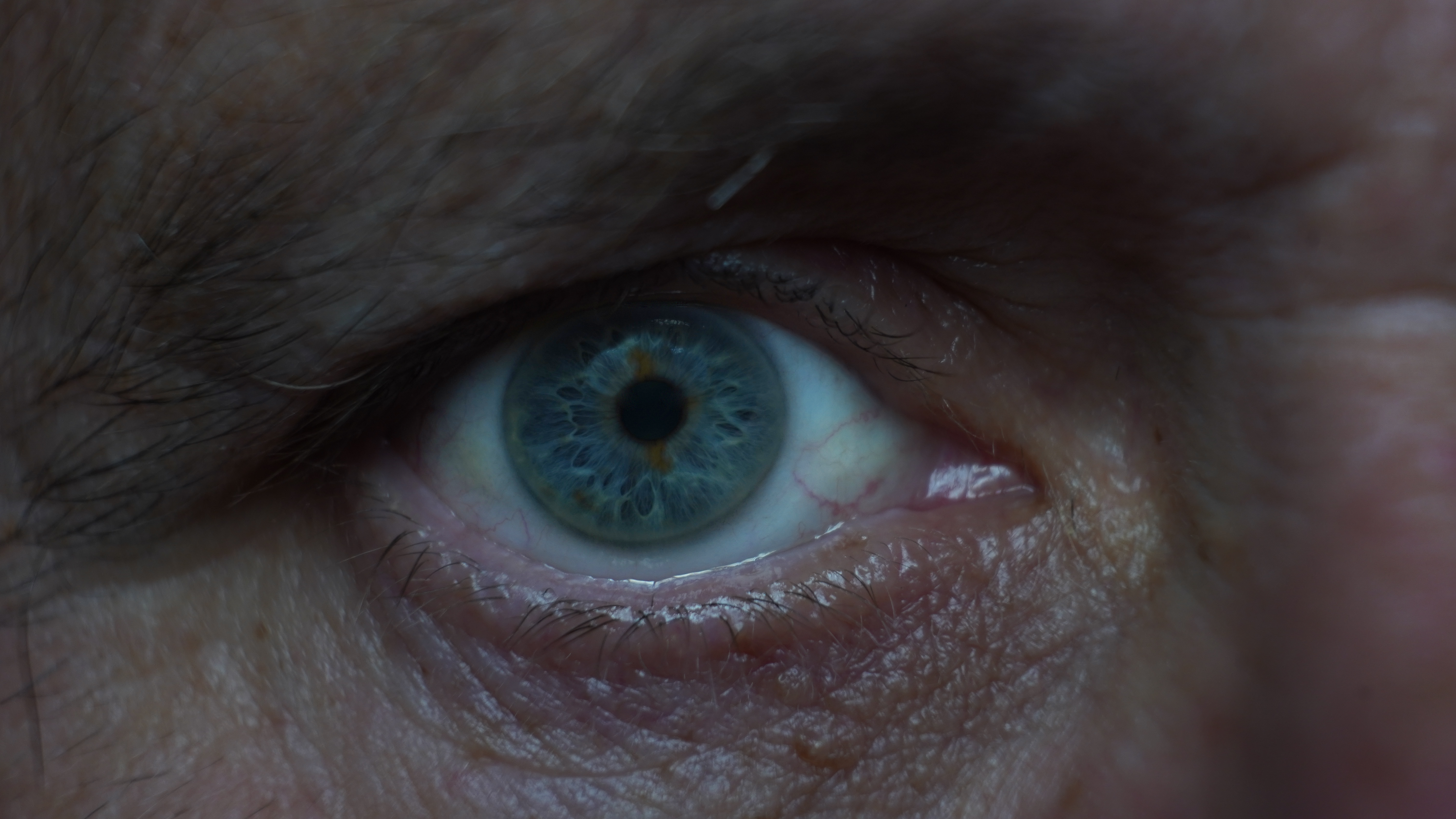 Macro eye Photography